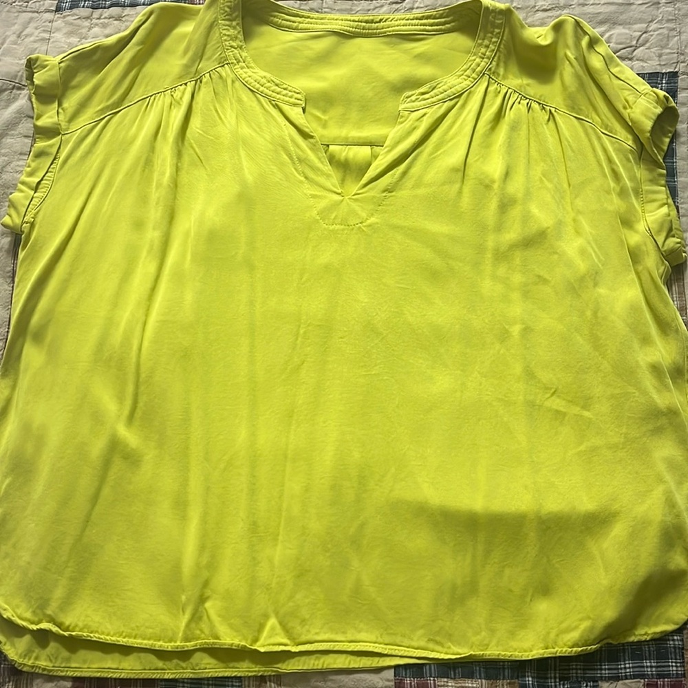 Yellow/green blouse.